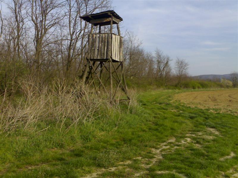 200704091802 .jpg